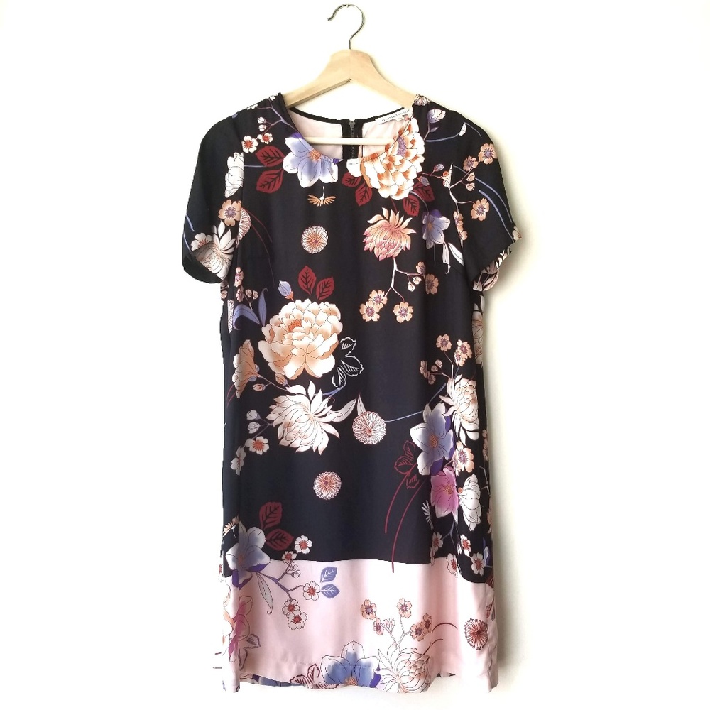 Daniel Rainn Floral Blossom Print SS Shift Dress
